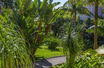 Dorisol Estrelicia Hotel