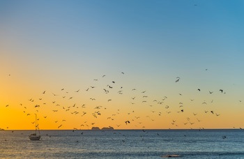 Bahia Del Sol Beach Front Boutique Hotel