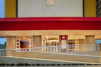 Ibis Macae