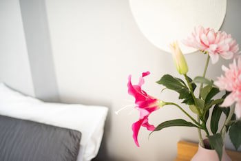Myrto Hotel galeri fotoğrafı