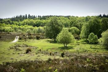 Careys Manor & Senspa