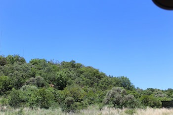 Tshukudu Bush Lodge