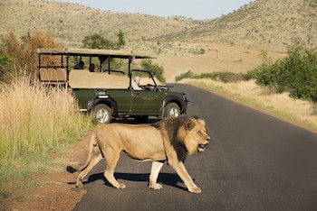 Tshukudu Bush Lodge