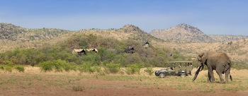 Tshukudu Bush Lodge