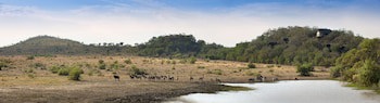 Tshukudu Bush Lodge