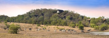 Tshukudu Bush Lodge