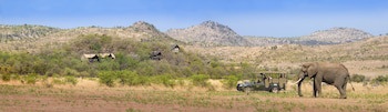 Tshukudu Bush Lodge