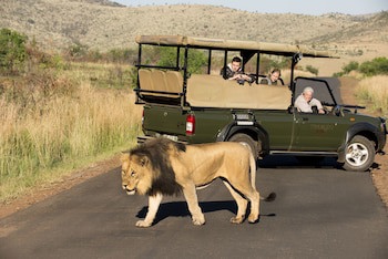 Tshukudu Bush Lodge