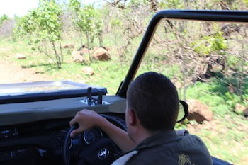 Tshukudu Bush Lodge