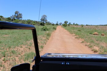 Tshukudu Bush Lodge