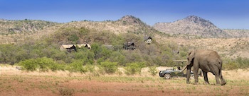 Tshukudu Bush Lodge