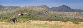 Tshukudu Bush Lodge