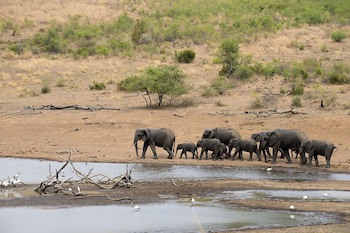 Tshukudu Bush Lodge