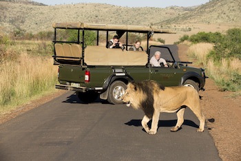 Tshukudu Bush Lodge