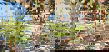 Poseidonia Beach Hotel