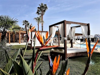 Ap Maria Nova Lounge - Adults Friendly