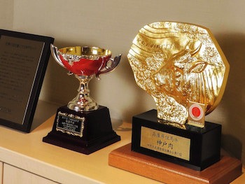 Ana Crowne Plaza Kobe, An Ihg Hotel