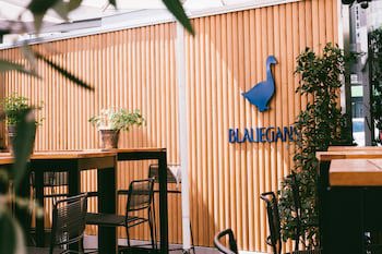 Arthotel Blaue Gans