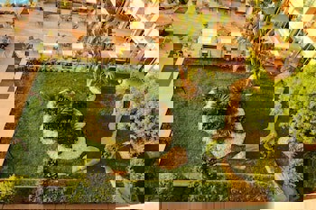 Fame Residence Kemer & Spa - All Inclusive