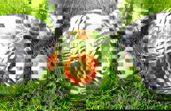 Kempinski Hotel The Dome Belek - All Inclusive