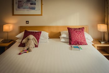 Viking Hotel Waterford
