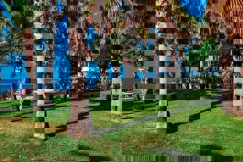 Louis Phaethon Beach