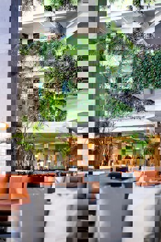 Louis Phaethon Beach