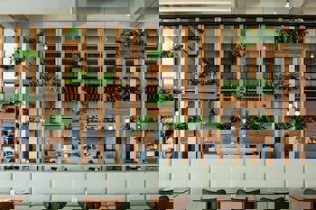 Louis Phaethon Beach