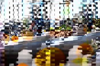 Louis Phaethon Beach