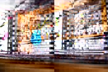 Louis Phaethon Beach