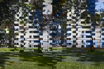 Louis Phaethon Beach