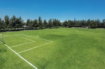 Courtyard By Marriott Toluca Airport