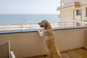 Hotel Ilunion Fuengirola