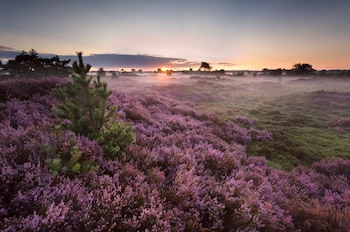 Veluwe Hotel De Beyaerd