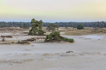 Veluwe Hotel De Beyaerd