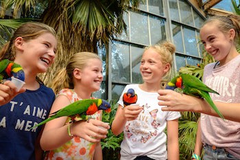 Van Der Valk Avifauna