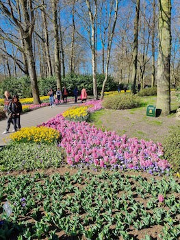 Van Der Valk Avifauna