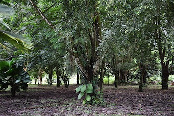 Arenal Country Inn