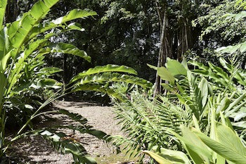Arenal Country Inn