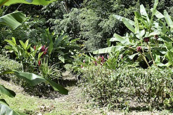 Arenal Country Inn
