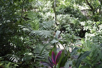 Arenal Country Inn