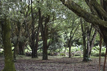 Arenal Country Inn