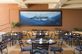 Club Regina Los Cabos