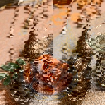 Radisson Blu Bosphorus Hotel, Istanbul