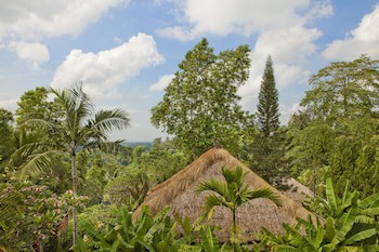 Como Uma Ubud