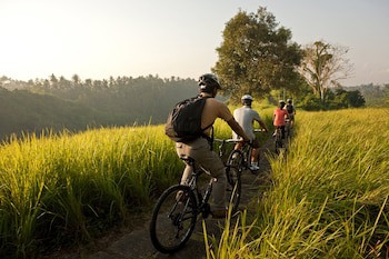 Como Uma Ubud