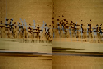 Ajia Hotel - Special Class