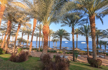 Grand Rotana Resort & Spa