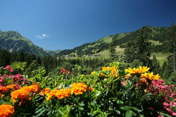 Ifa Alpenhof Wildental Hotel Kleinwalsertal Adults Only