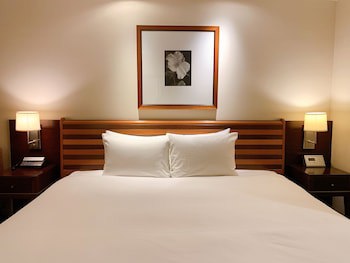 Ana Crowne Plaza Okayama, An Ihg Hotel